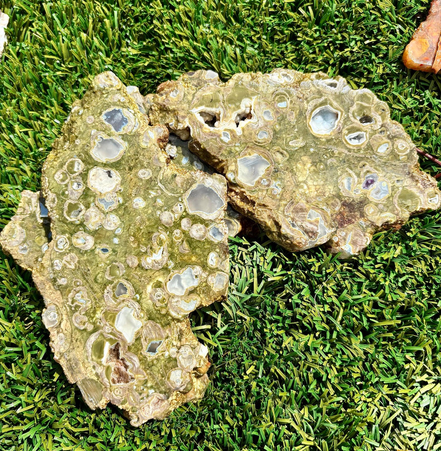 Green Mushroom Rhyolite