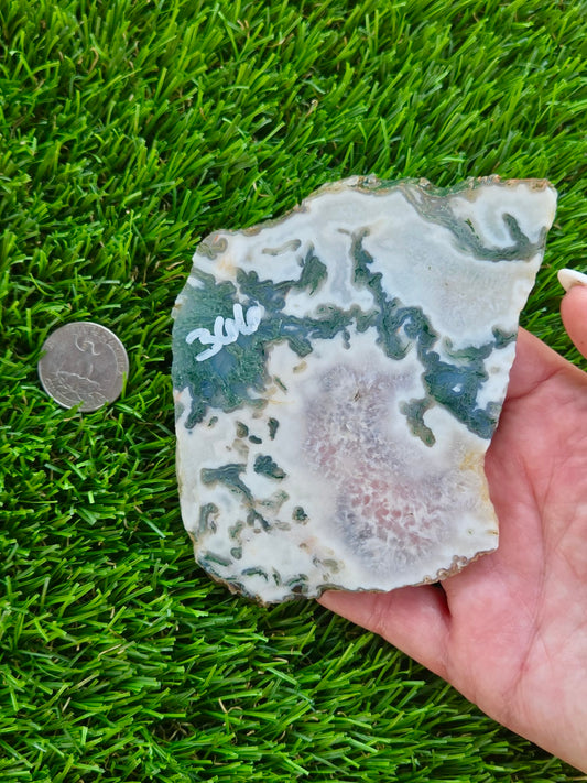 Moss Agate with Crystal Pockets Slabs H366-370