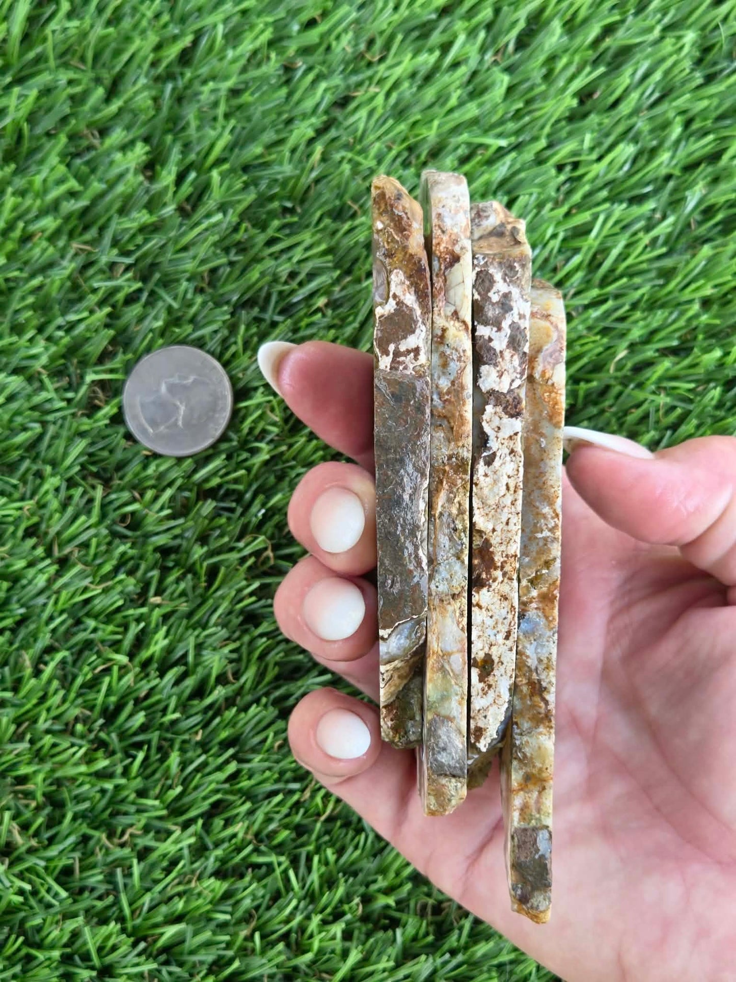 Camp Verde Agate Slabs K534-537