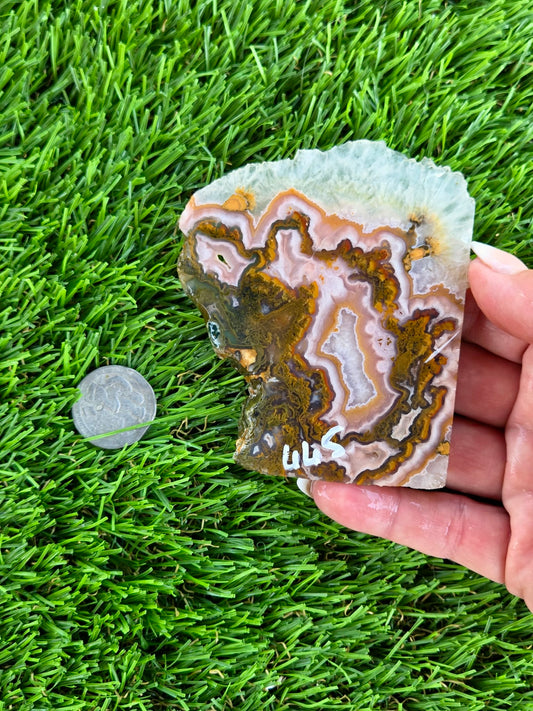 Purple Crazy Lace Agate with Quartz Crystal Slabs N665-666