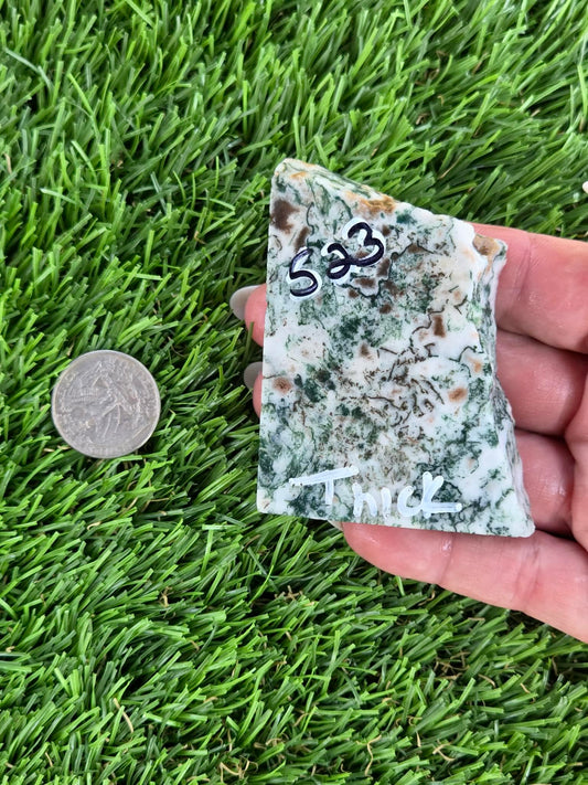 Tree Agate Slabs K523-529
