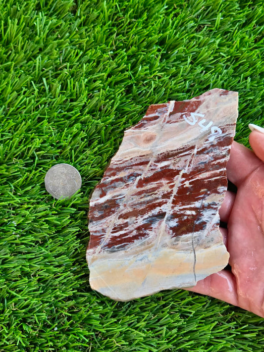 Red Creek Brecciated Jasper Slabs L548-552