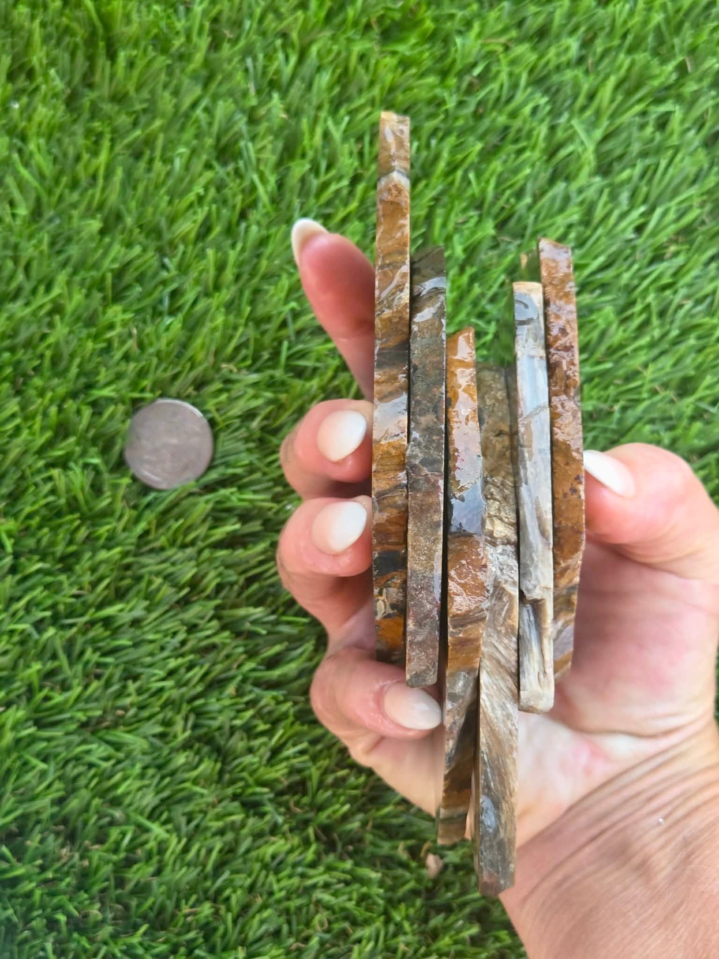 Agatized Petrified Wood Slab I453-458
