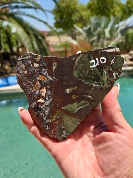 Australian Rainforest Rhyolite Jasper Slab 209-212