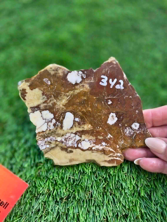 Wild Horse Jasper Slabs G342-348