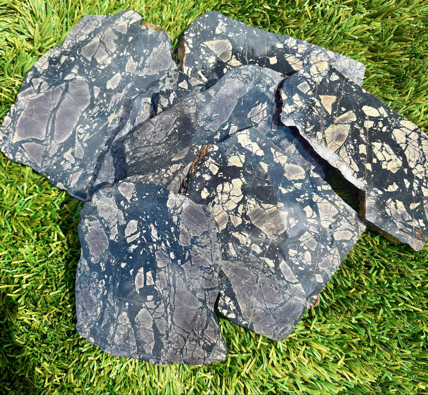 Flagstaff Brachiated -