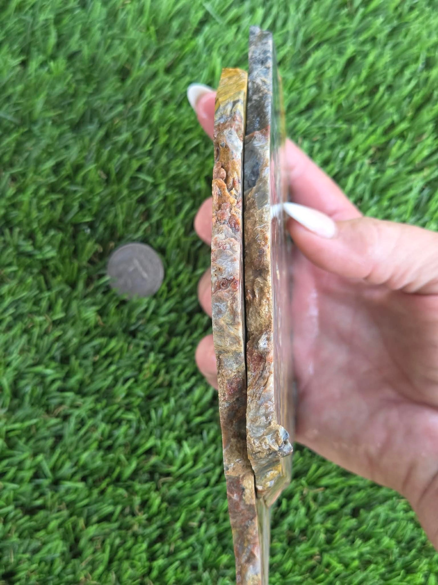 Rainbow Petrified Wood Slabs K516-517