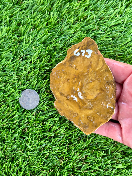 Mustard Picture Jasper Slabs N673-677