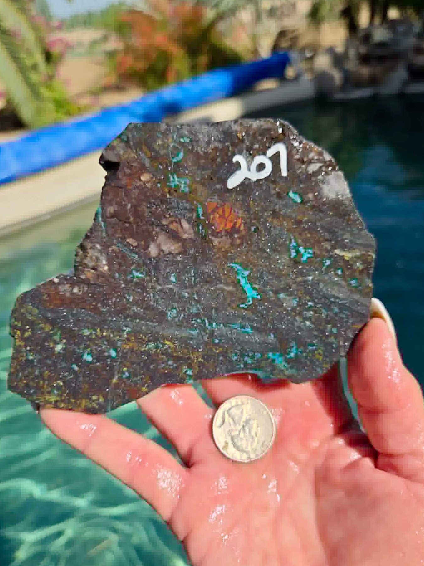 Galena Chrysocolla Rough Slab 205-207
