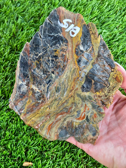 Rainbow Petrified Wood Slabs K518-519