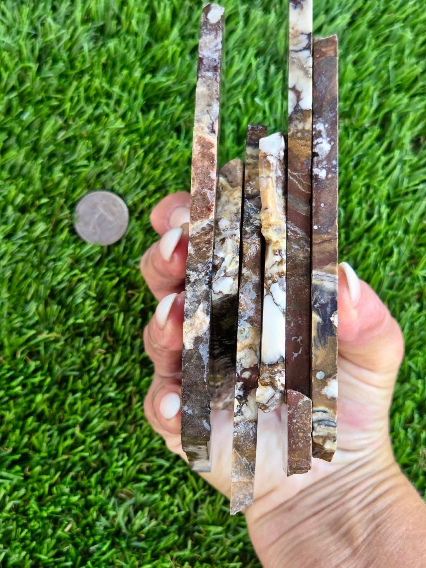 Wild Horse Jasper Slabs G354-359