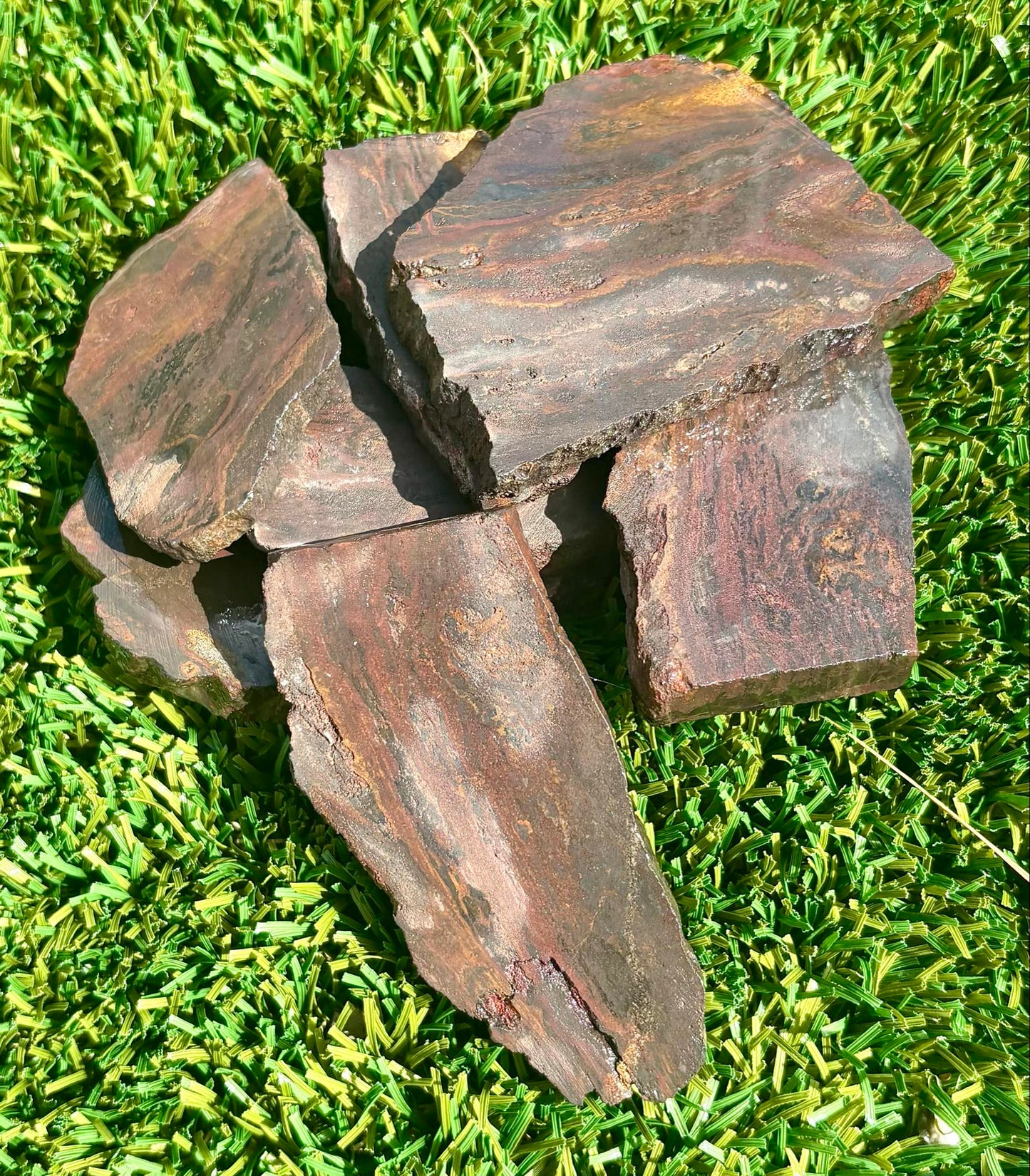 Oregon Petrified Wood