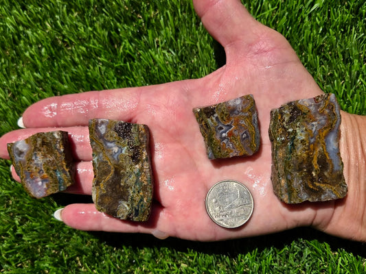 Agate Moss – Camp Verde Slab Bundle SB101