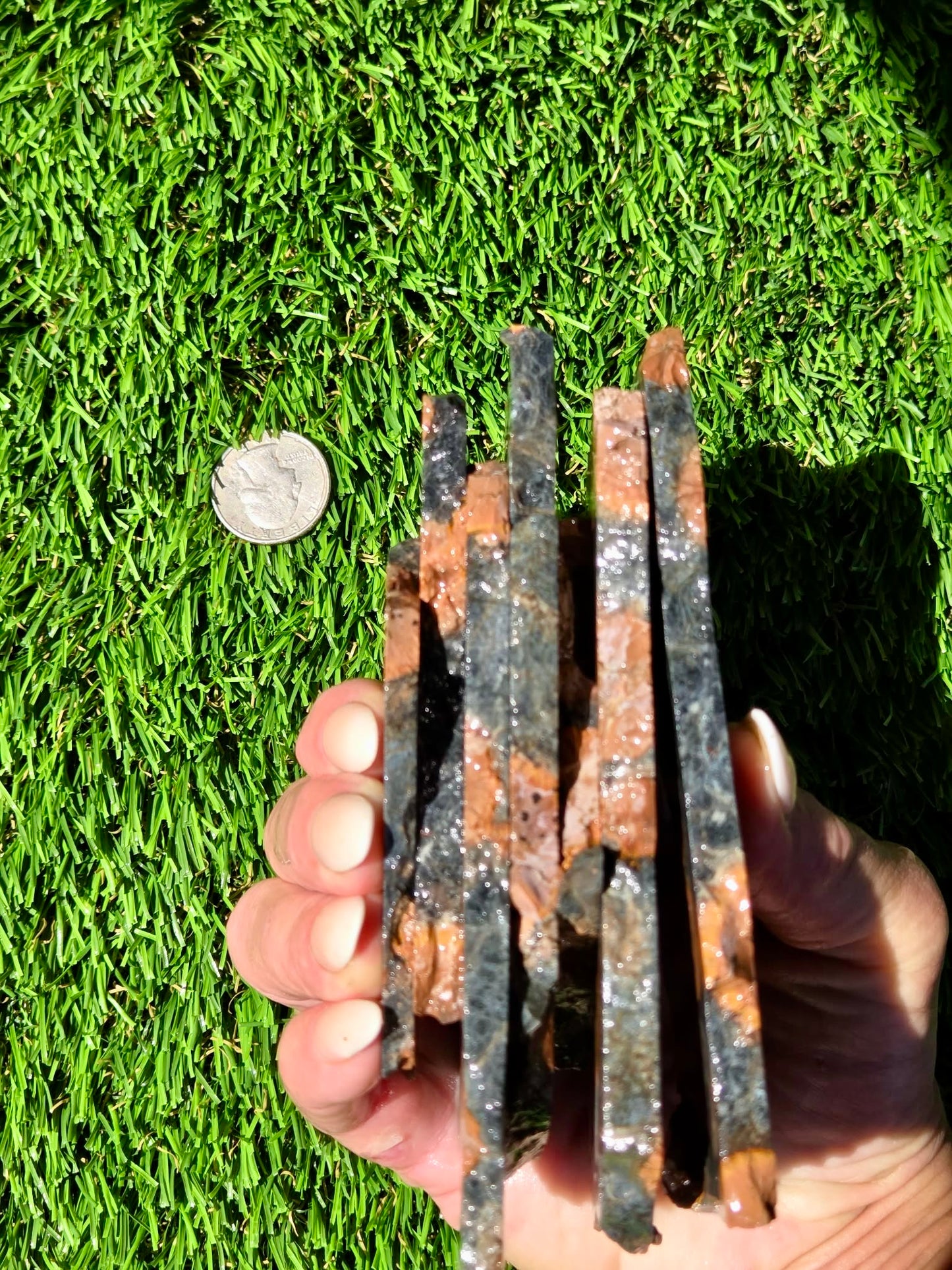 Agatized Fossil Coral Slabs Q824–830