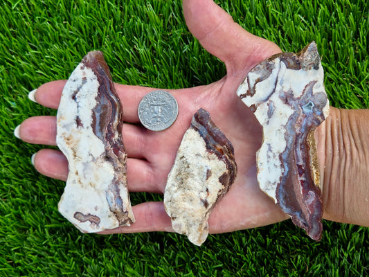 Camp Verde Agate Slab Bundle SB26