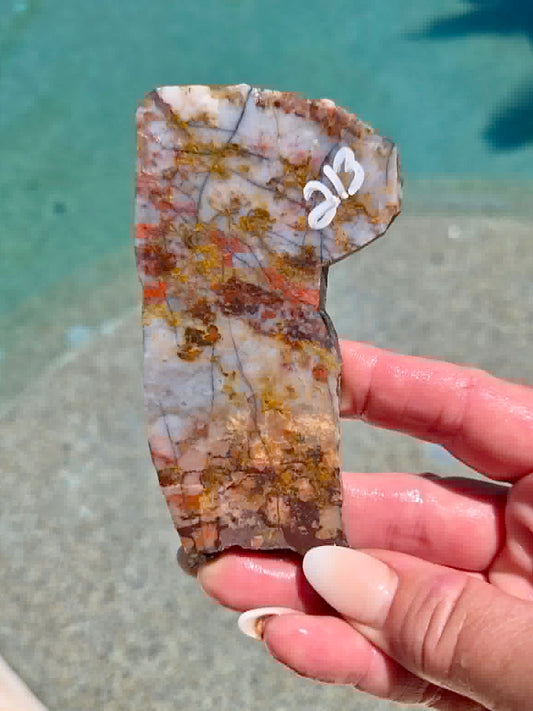 Utah Rainbow Jasper Slab 213-217