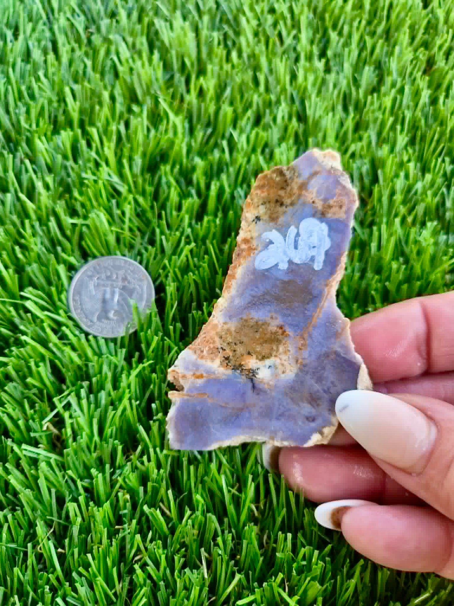 Purple Burro Creek Agate Slab 263-269
