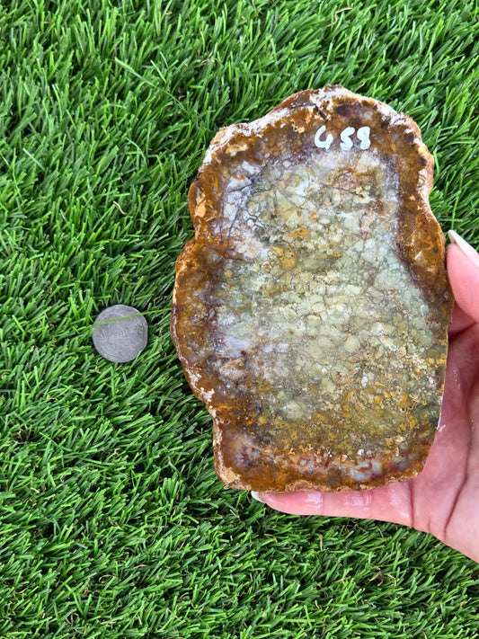 Brecciated Jasper Slabs N658-660