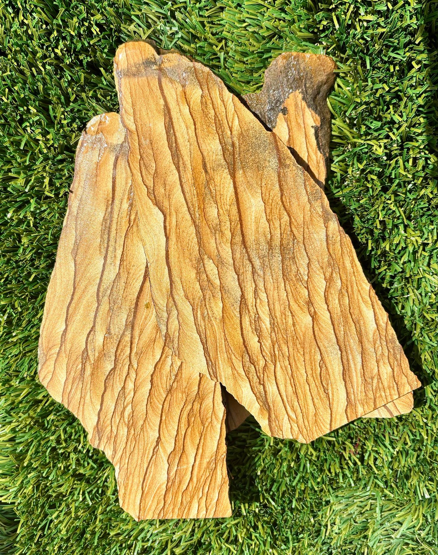 Golden Utah Picture Sandstone