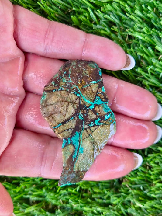 Globe Chrysocolla Slab Bundle -56