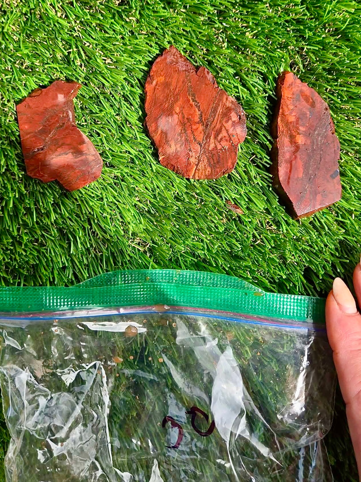 Arizona Flame Jasper Slab Bundle-30