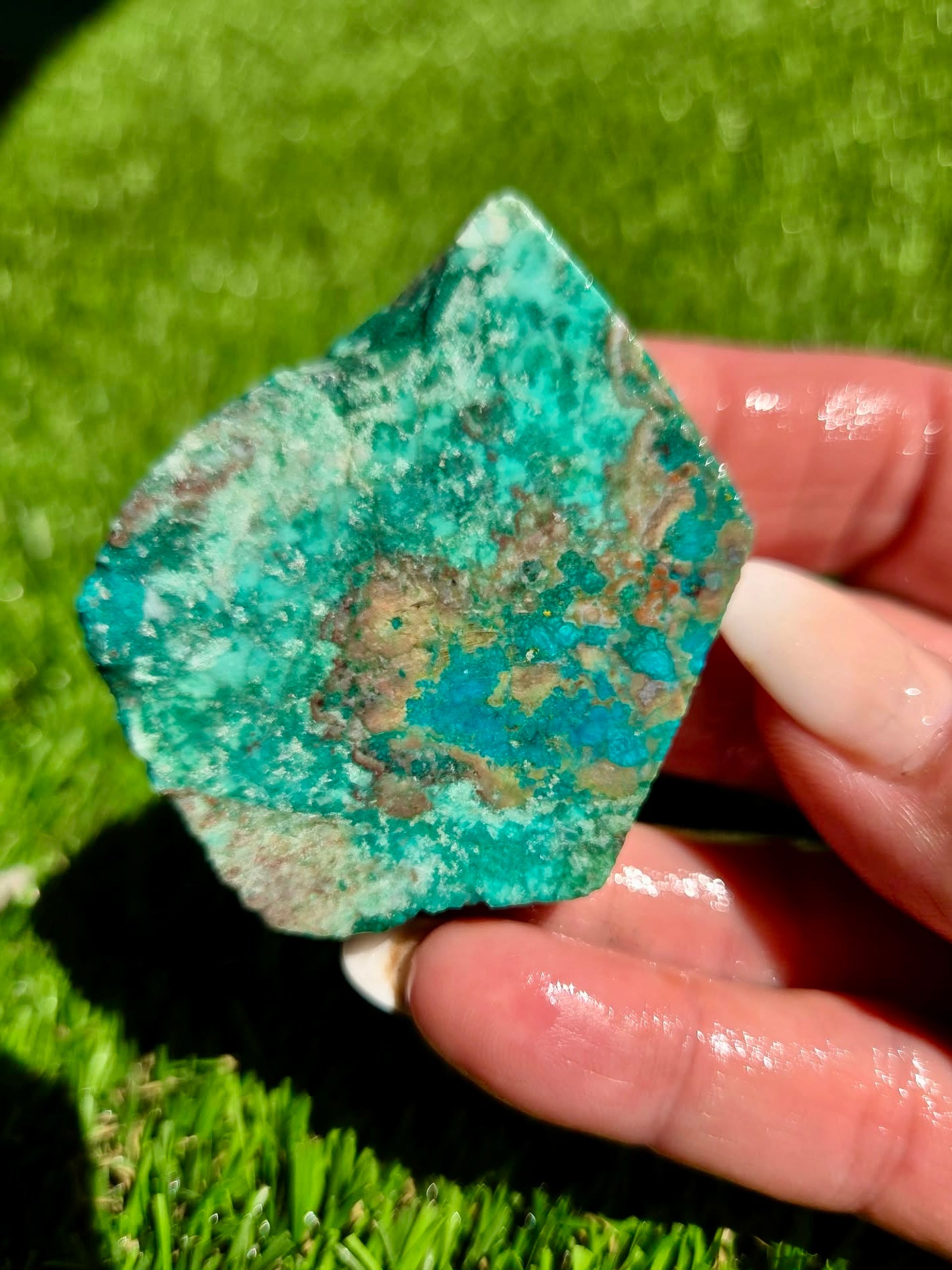 Globe Chrysocolla Slab Bundle -81