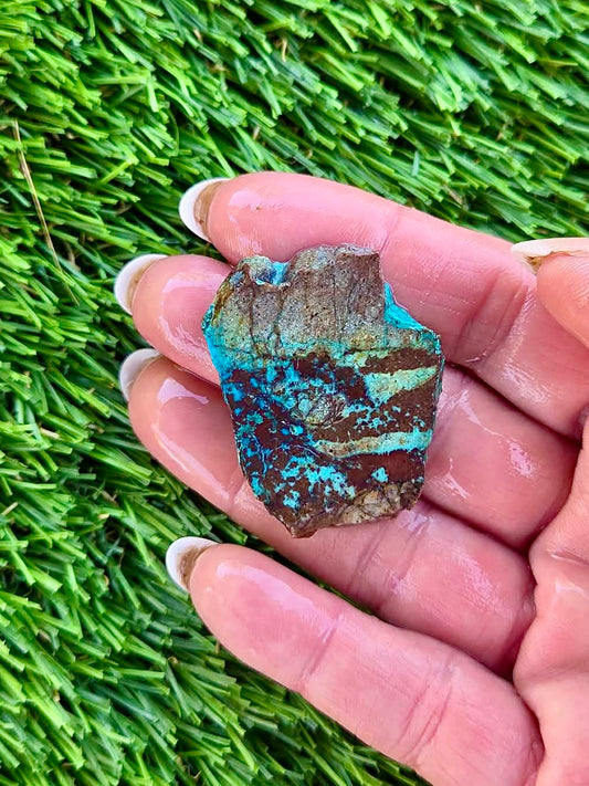 Globe Chrysocolla Slab Bundle -81