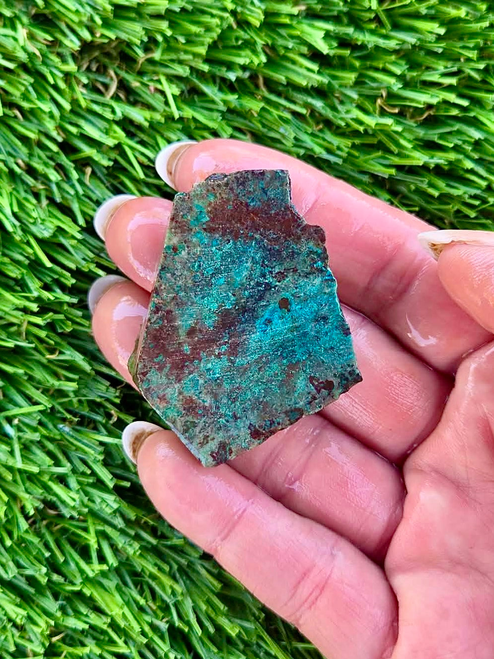 Globe Chrysocolla Slab Bundle -81