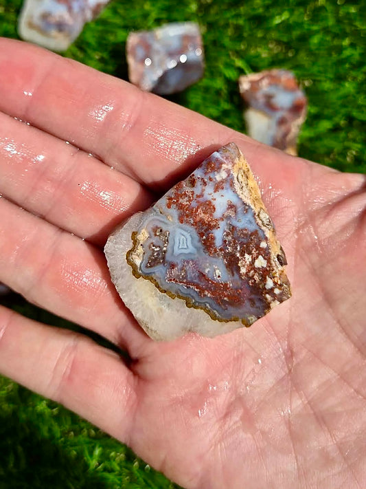Bloody Basin Agate Slab Bundle-25