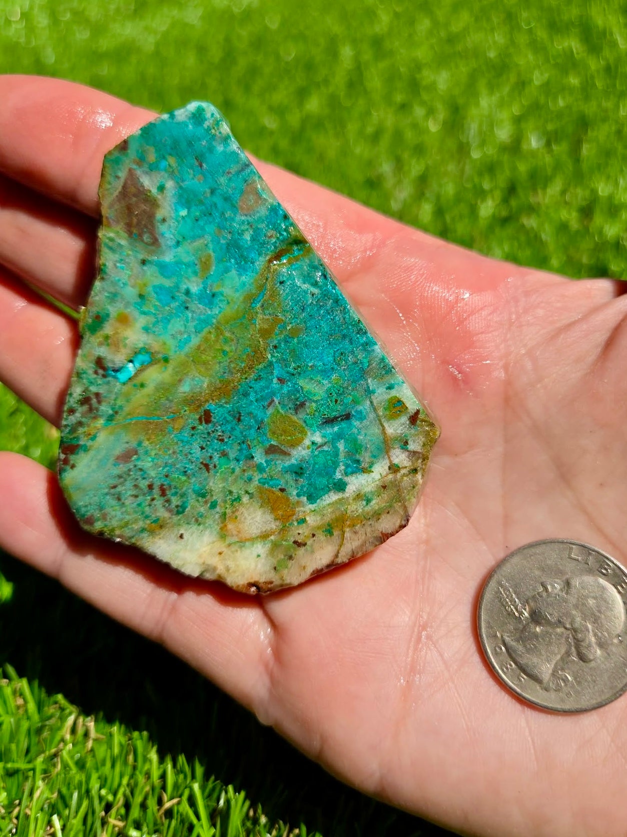 Globe Chrysocolla Slab Bundle -80