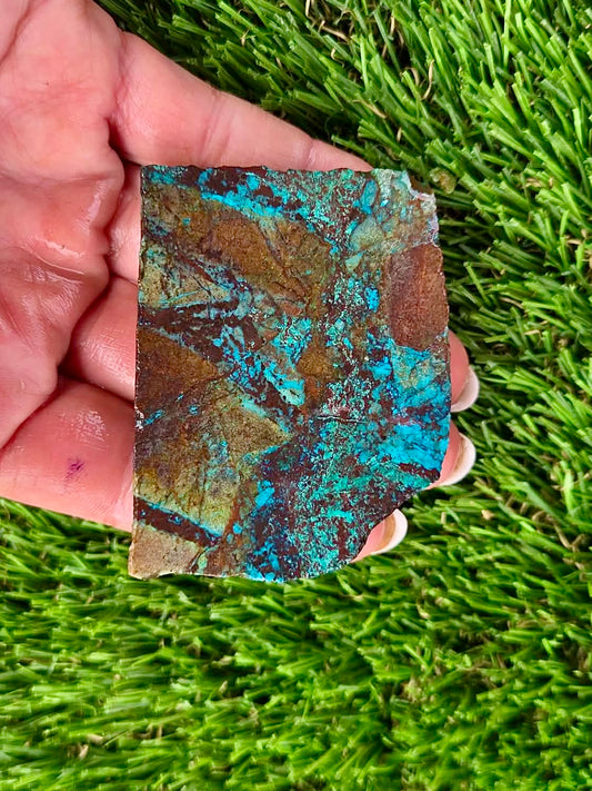 Globe Chrysocolla Slab Bundle -50