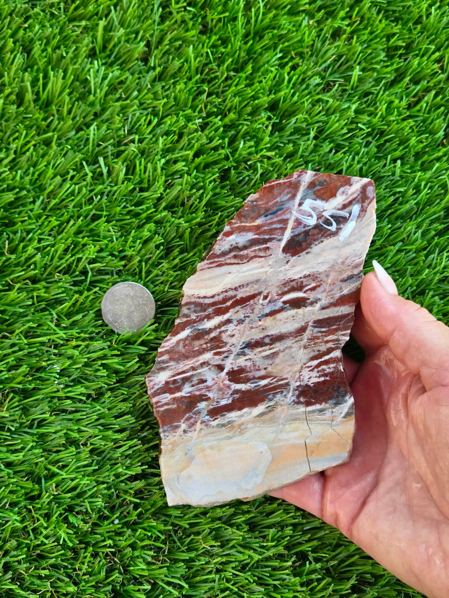 Red Creek Brecciated Jasper Slabs L548-552