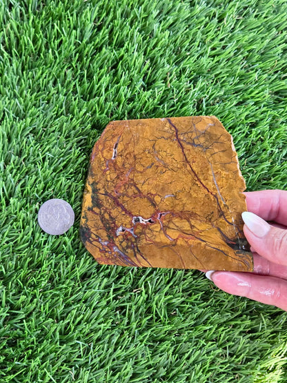 Golden Brecciated Jasper with Agate Veins M596-598
