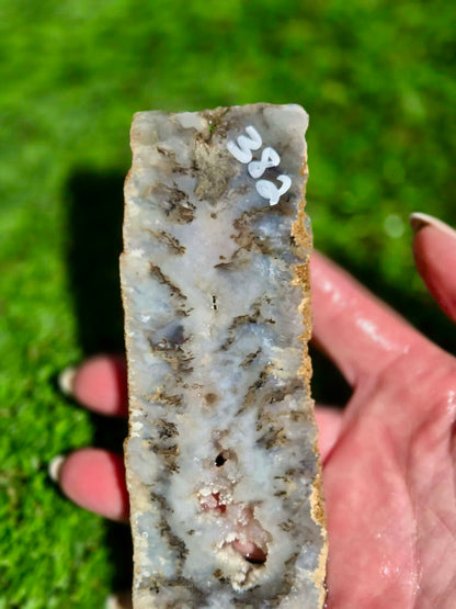 Graveyard Point Agate Slabs H379-384