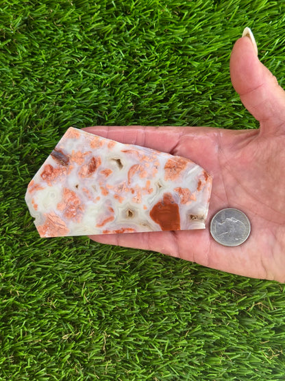 Cotton Candy Agate Slabs S891–895