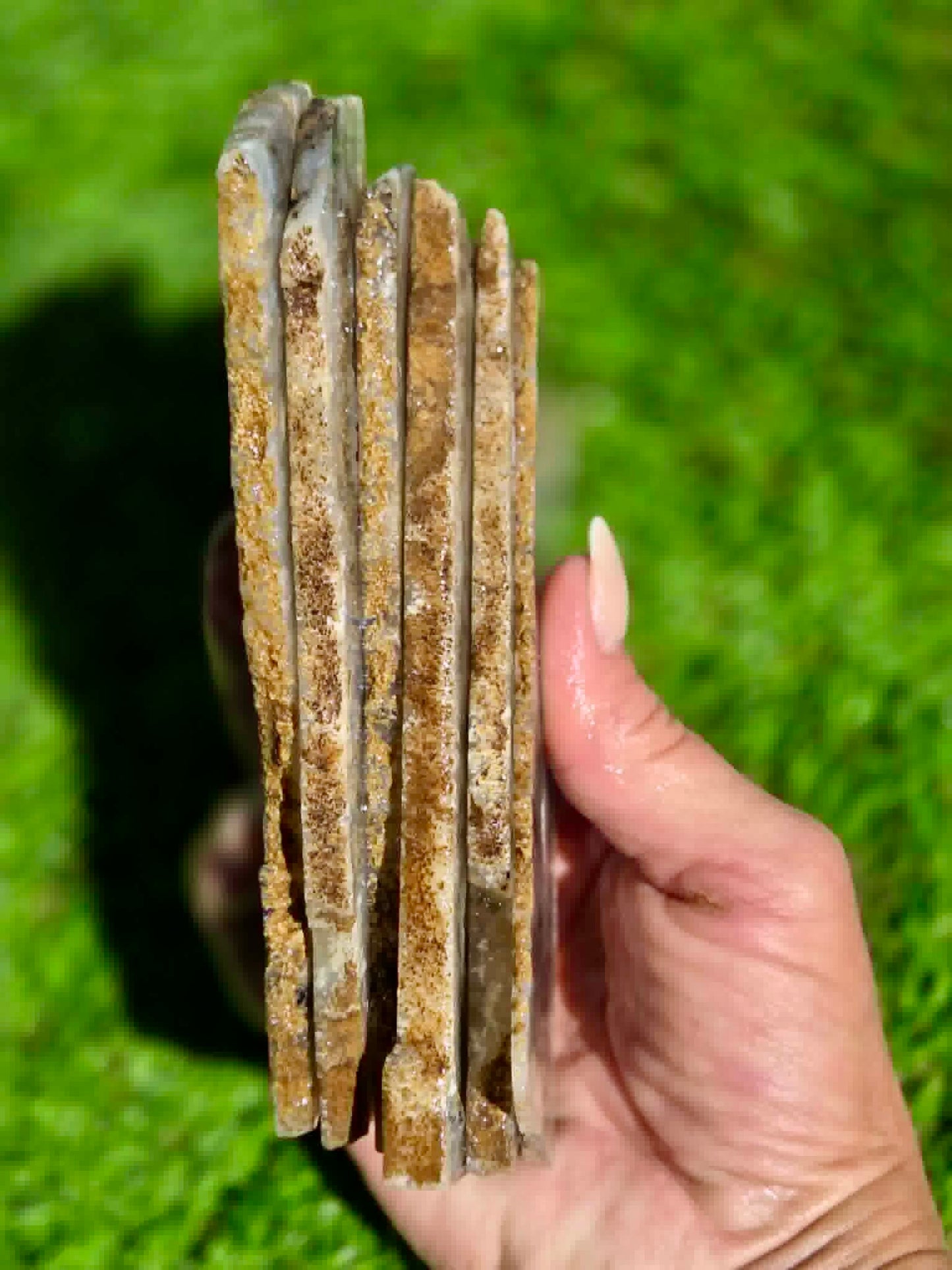 Graveyard Point Agate Slabs H379-384