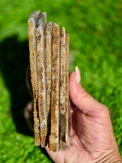 Graveyard Point Agate Slabs H379-384