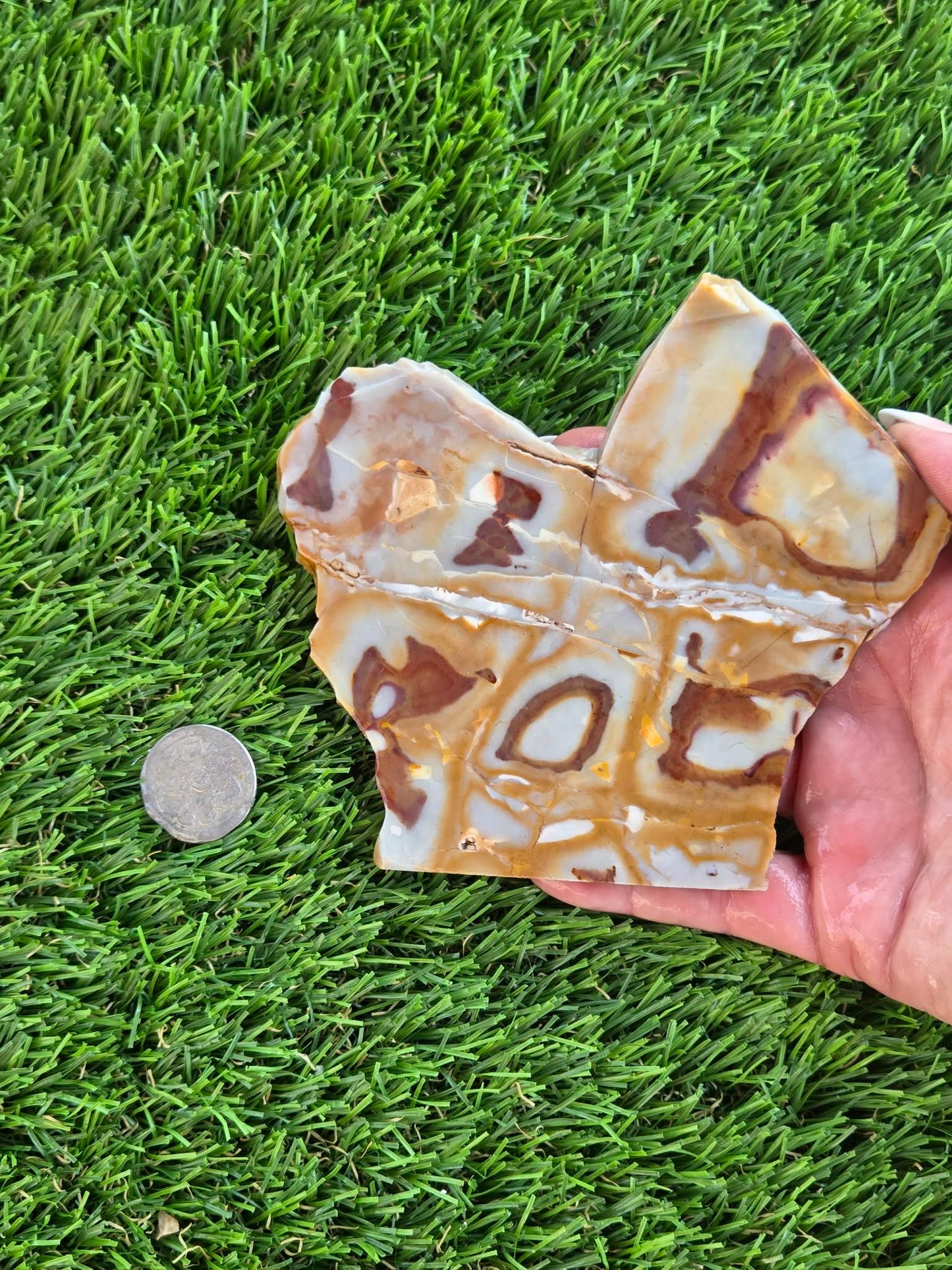 Banded Brecciated Jasper/Agate Slabs L557-562
