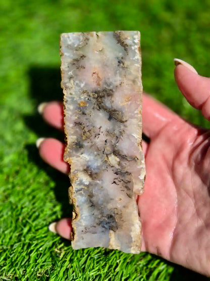 Graveyard Point Agate Slabs H379-384