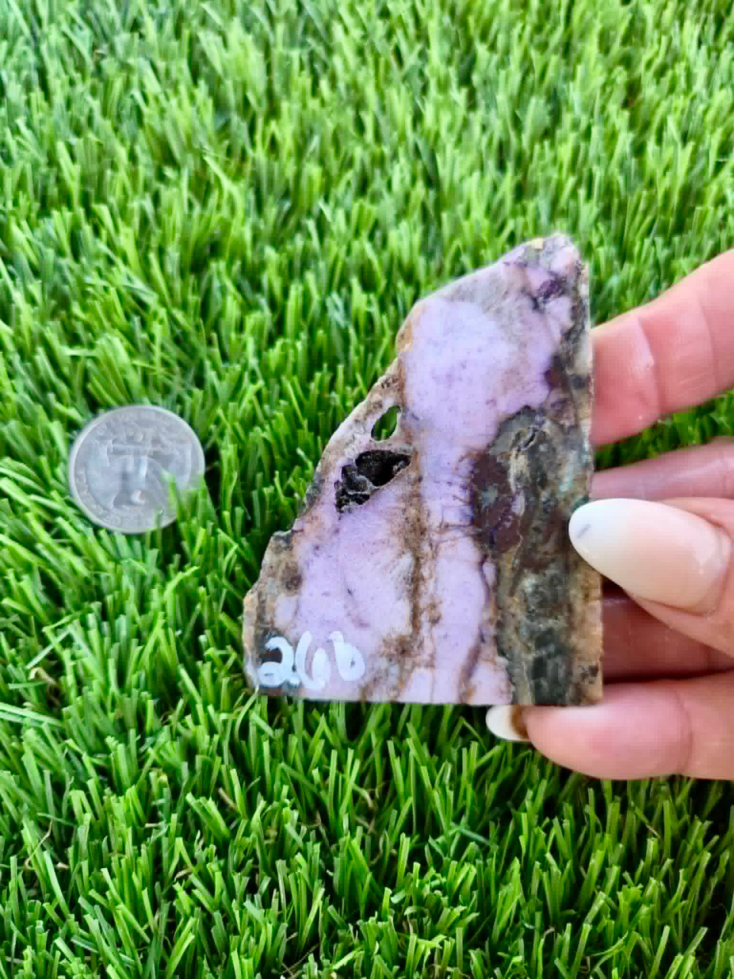 Purple Burro Creek Agate Slab 263-269