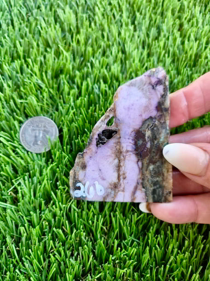 Purple Burro Creek Agate Slab 263-269