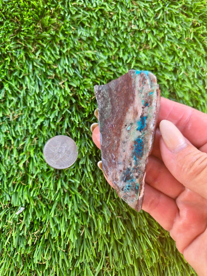 Shattuckite Slabs B95-100