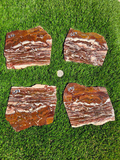 Banded Brecciated Jasper with Agate Slabs O686–689