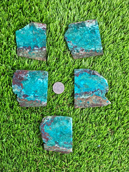 Globe Chrysocolla & Malachite Slabs V991–995