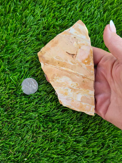 Natural Banded Mexican Onyx Calcite Slabs L575-580