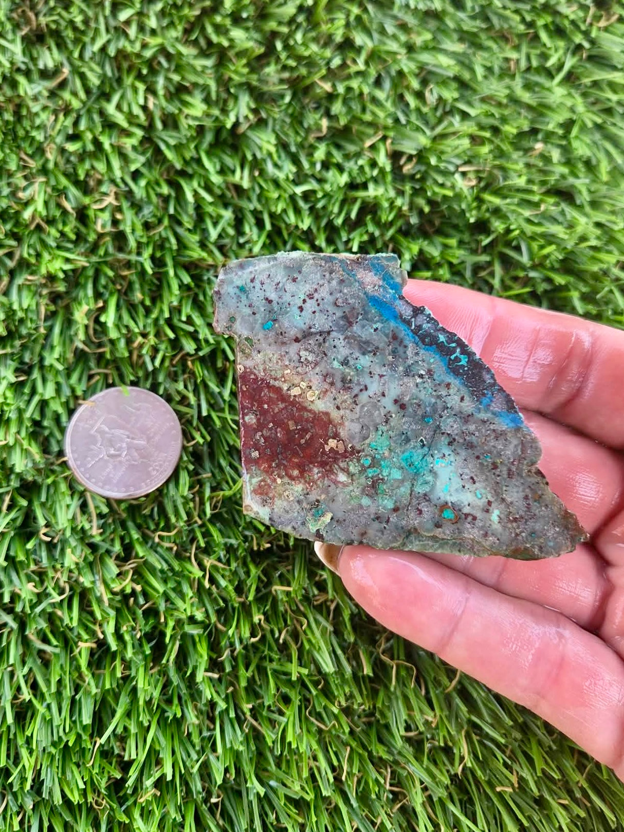 Shattuckite with Azurite & Malachite Slabs B113-119