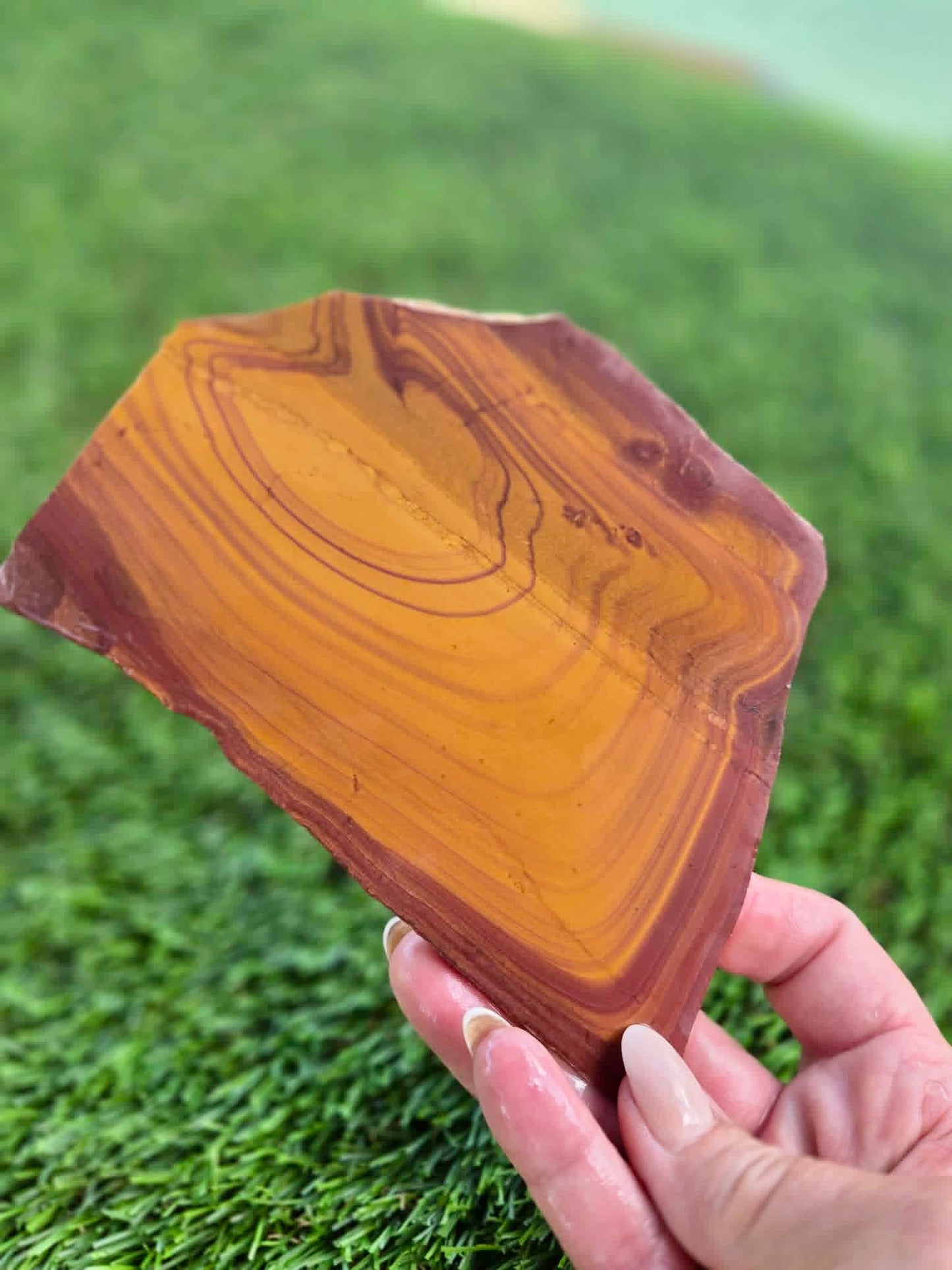 Desert Picture Jasper Slabs G332-334