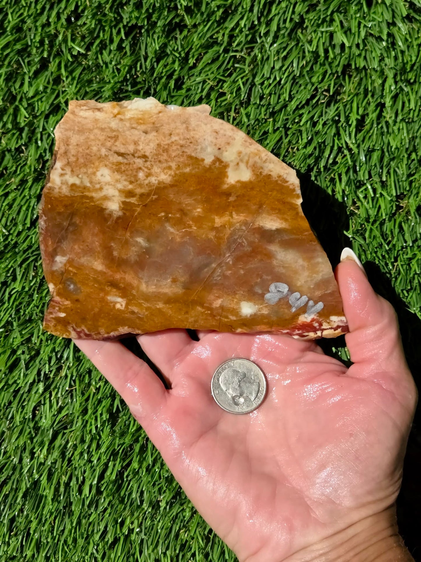 Burro Creek Jasper Slabs R841–847