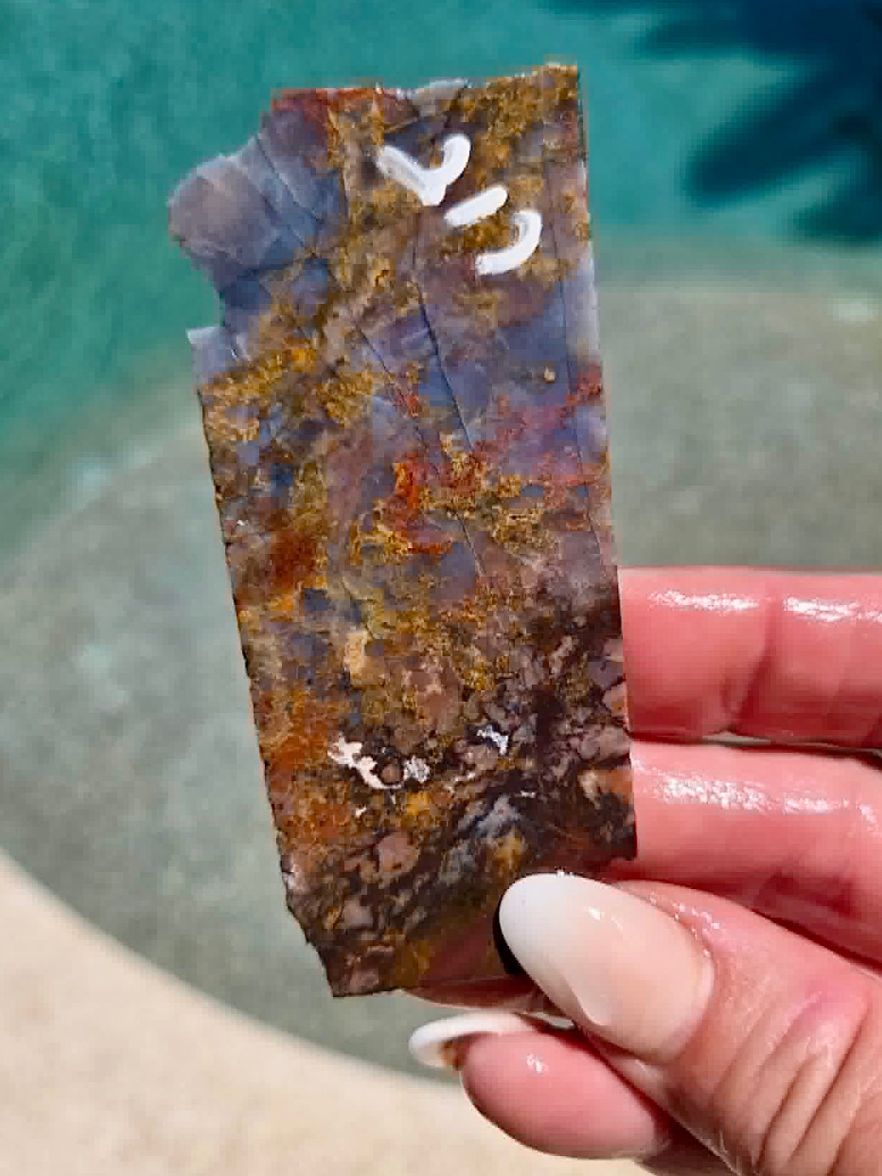 Utah Rainbow Jasper Slab 213-217