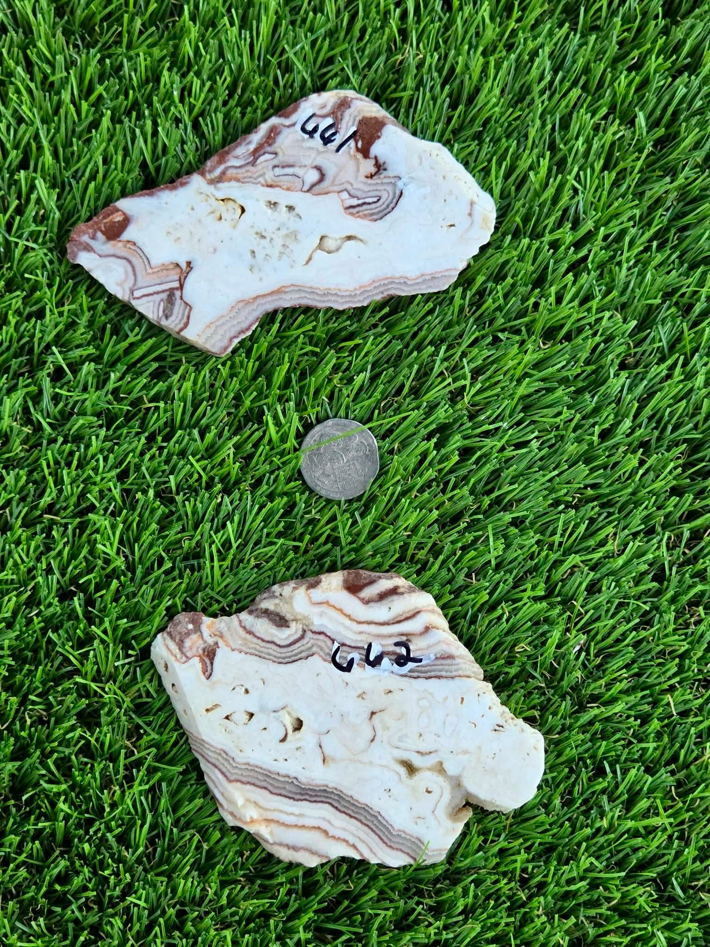 Mexican Moon Lace Agate Slabs N661-662